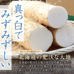 北海道十勝芽室町 ファーム・ミリオンの長芋【土付き】　10㎏　長芋 長いも  とろろ 芋 北海道 十勝 芽室町 送料無料 お取り寄せ me016-013c
