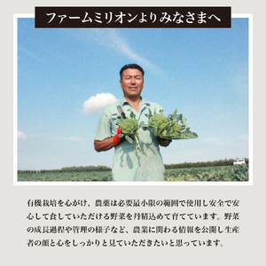 北海道十勝芽室町 ファーム・ミリオンの長芋ごぼうセット【土付き】10kg　長芋 長いも  とろろ 芋 ごぼう ゴボウ 根菜 野菜 北海道 十勝 芽室町 送料無料 お取り寄せ me016-014c