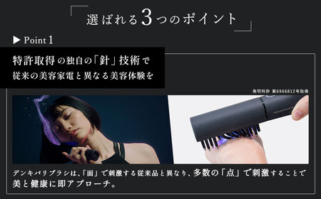 デンキバリブラシ　直接引き取り5000円引き リフトギアセット | ELECTRON ONLINE SHOP