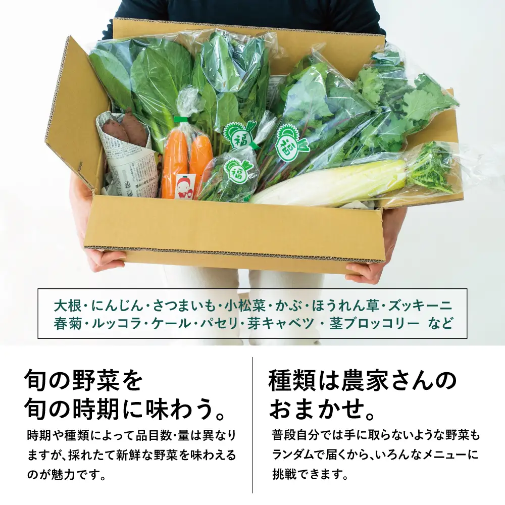 【鹿児島県南さつま市産】福元農園 旬のお野菜 おまかせセット 1箱（5～8品目）