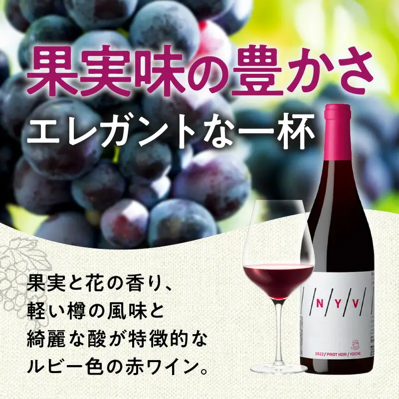 数量限定&北海道限定 N・Y・V（エヌ・ワイ・ブイ）余市ピノ・ノワール2022 750ml １本_Y090-0037