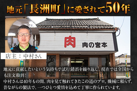 馬肉入り手作りハンバーグ(約150g×9個)　肉の宮本《45日以内に出荷予定(土日祝除く)》