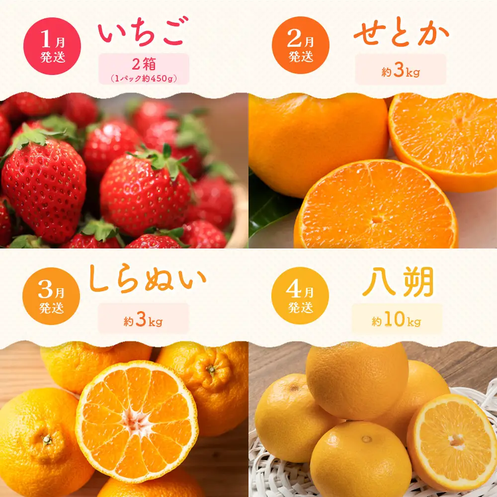 【定期便全12回】旬果厳選！四季を味わう単品定期便♪～プレミアム等級選果～ | フルーツ