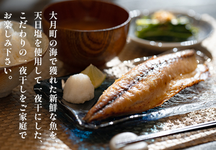 【12回お届け】こだわりの一夜干しセット(12枚~15枚)
