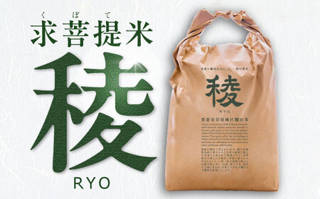 【全3回定期便】 求菩提米 夢つくし 5kg (5kg×1袋) [VCO006] 米 お米 白米 5キロ 米5kg 米5キロ 新米 産地直送 精米 国産 おすすめ おいしい 2025年 甘い 人気 ランキング