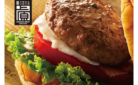 石垣牛ハンバーグセット(8個入) （AG031）