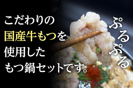 もつ鍋 化粧箱入り 素材にこだわりました 厳選 博多牛もつ鍋セット 2人前 醤油 醤油味 国産 牛小腸 もつ モツ 鍋 お土産 美味しい 福岡県 福岡 九州 グルメ お取り寄せ