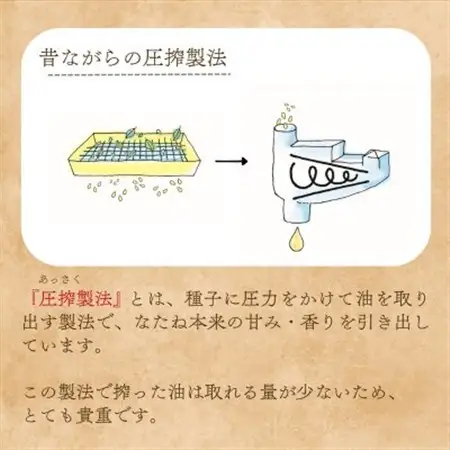北海道産なたね油600g ×12本【1578926】