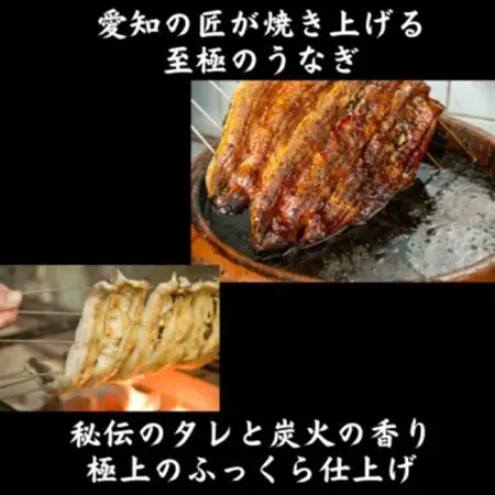 愛知県産大うなぎ紅白蒲焼660g【配送不可地域：離島】【1579405】