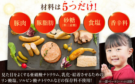 【全2回定期便】【訳あり】【結着剤・発色剤・保存料不使用】 放牧豚 ボロニア厚切りスライスソーセージ 3枚x10セット（130g/パック） 訳あり ソーセージ ウインナー 無塩せき 冷凍配送 セット 詰合せ 北海道 [AXBA078]