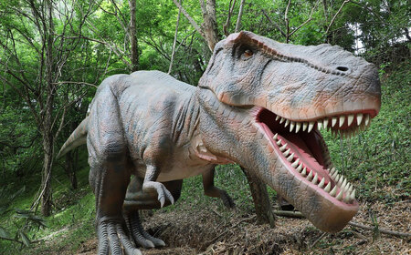 チケット みろくの里フリーパスチケット 1枚 [BABG001]