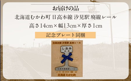 第2弾 日高本線廃線レール 厚さ1cm（限定品） MKWG030