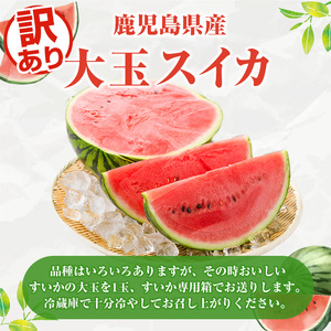 ＜先行予約受付中！2026年6月中旬以降順次発送予定＞訳あり！鹿児島県産 大玉スイカ(1玉・約10kg) 国産 果物 スイカ すいか 西瓜 フルーツ スイーツ スムージー ジュース【松永青果】akn053-21