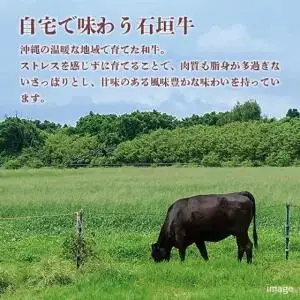 石垣牛ローススライス 計400g(約200g×2P) すき焼き・しゃぶしゃぶ用 (AG029)