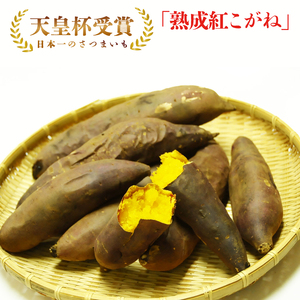 【訳あり】行方かんしょ「紅こがね」さつまいも約5kg（洗い・不揃い・C品）｜さつまいも 芋 わけあり 訳あり 焼芋 やきいも 紅こがね 茨城県 行方市 人気 送料無料(AE-108)