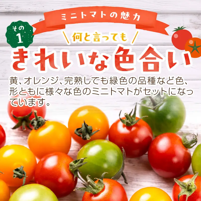 訳あり カラフルミニトマト 約1.5kg 秋冬発送【ミニトマト】