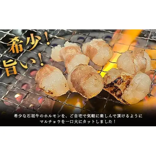 マルチョウ300g×4パック　IM-14