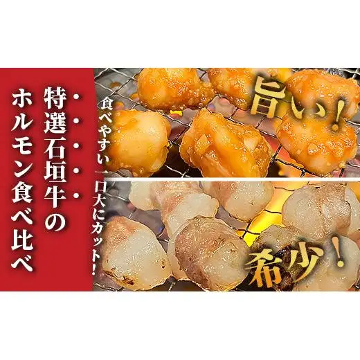 石垣牛 マルチョウ 300g×4パック 味噌味 プレーン 食べ比べ