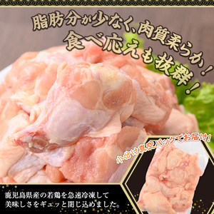 鹿児島県産 若鶏 手羽元(計4kg・500g×8P)【株式会社羽根】A580