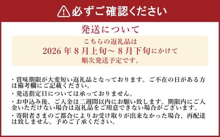 《先行予約》 「山之上果実農業協同組合」 山之上の梨 幸水 1箱 約 2.5kg （ 5-8玉 )  【2026年8月上旬-8月下旬 発送予定】