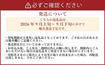 《先行予約》 「山之上果実農業協同組合」 山之上の梨 豊水 1箱 約 2.5kg （ 5-8玉 ） 【2026年9月上旬-9月下旬 発送予定】
