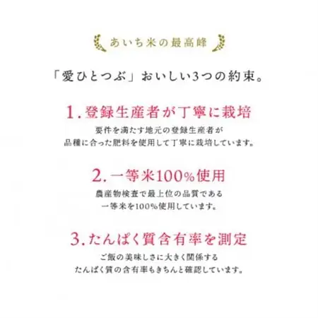 愛知県産 ブランド米「愛ひとつぶ」パックご飯 150g×36パック【1581336】