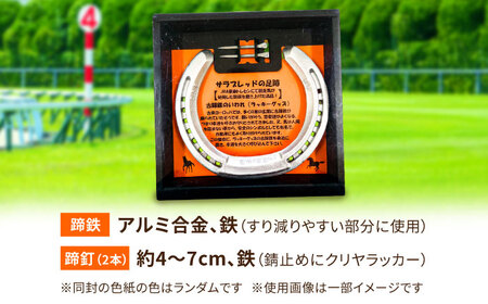【JRA/日本中央競馬会】競走馬が使用した蹄鉄と蹄釘のセット [BICB001]