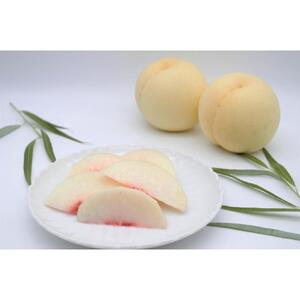 岡山白桃・晩生（ご家庭用）約２kg（６～９玉入り）【2026年発送】