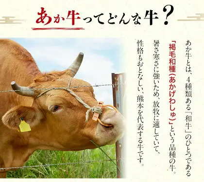 熊本県産和牛あか牛ロースステーキ 500g 阿蘇牧場《90日以内に出荷予定(土日祝除く)》熊本県 菊池市 肉 牛肉 あか牛 和牛 ロースステーキ ステーキ