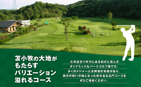 糸井の森 1日プレー券（ 20枚セット ） T061-003 体験 チケット