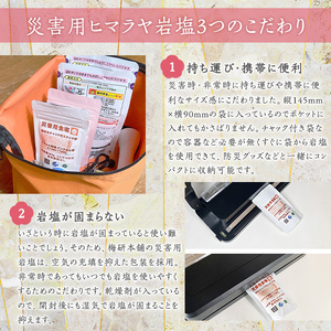 災害用 食塩 ピンク岩塩(あら塩×5袋・100g/袋)  ヒマラヤ岩塩 ピンク岩塩 岩塩 塩 食塩 調味料 ミネラル 熱中症対策 災害用 防災グッズ 災害対策 備蓄 【梅研本舗ジャパン】akn047-10
