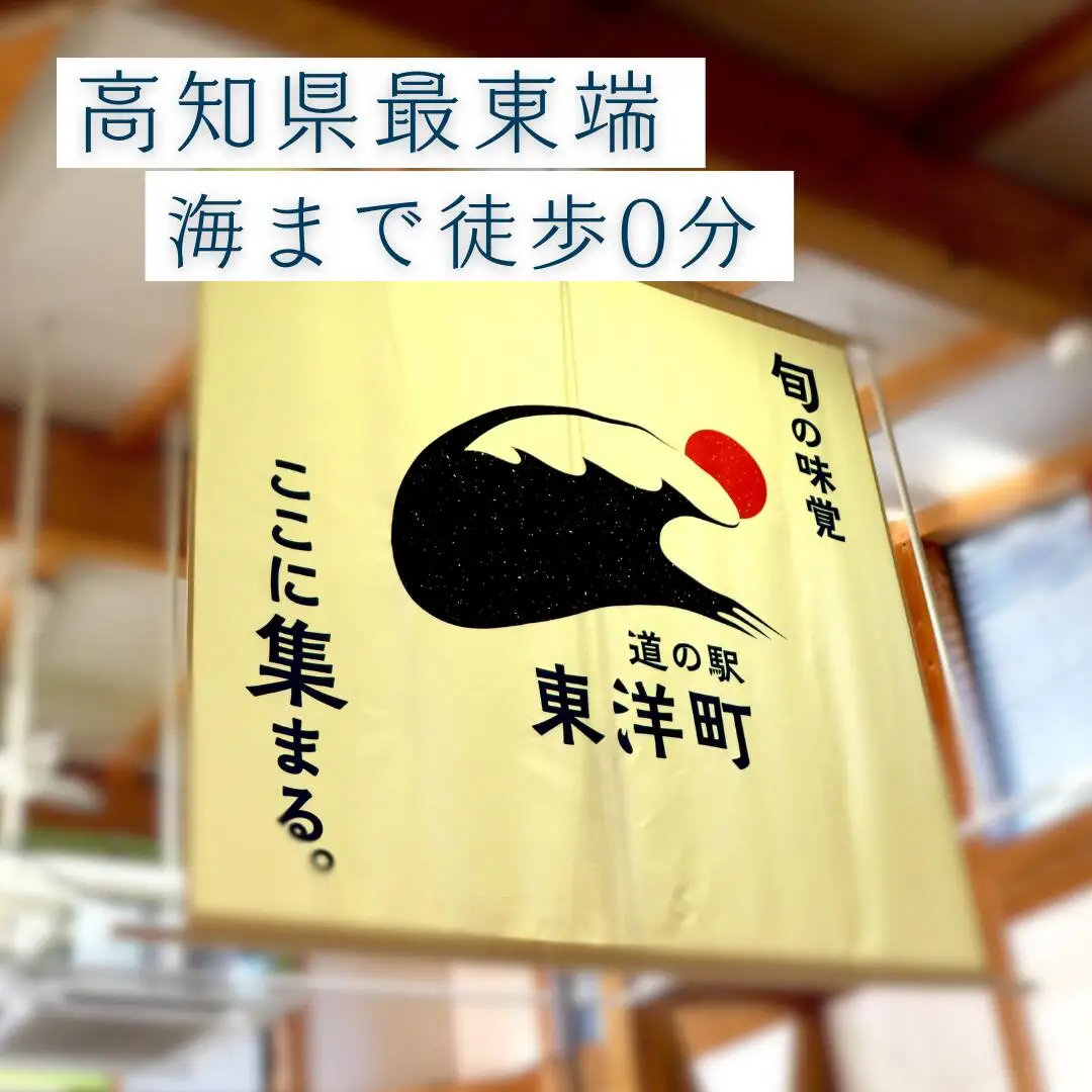 MT002　お米5kgと旬の野菜の詰め合わせ 道の駅東洋町おまかせセット 季節の野菜 米 おまかせ