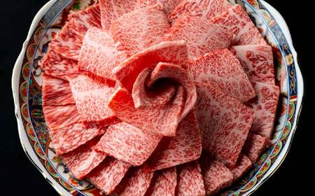 山形牛 焼肉用1kg (肩ロース500g+モモ・肩500g) F2Y-3926
