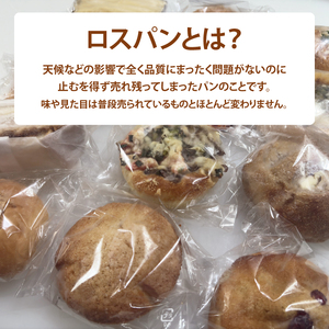 【訳あり】ロスパン詰め合わせ（10個）（ LV-1）