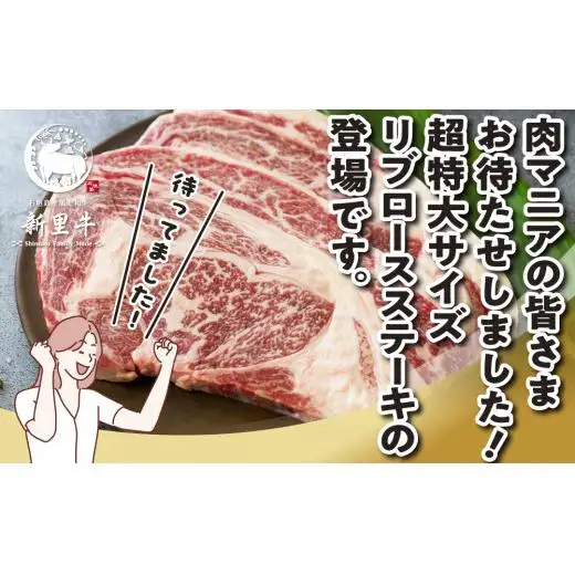 石垣島産 黒毛和牛 新里牛 どデカリブロースステーキ（不定貫200～300g×2）合計500g以上　 SZ-33