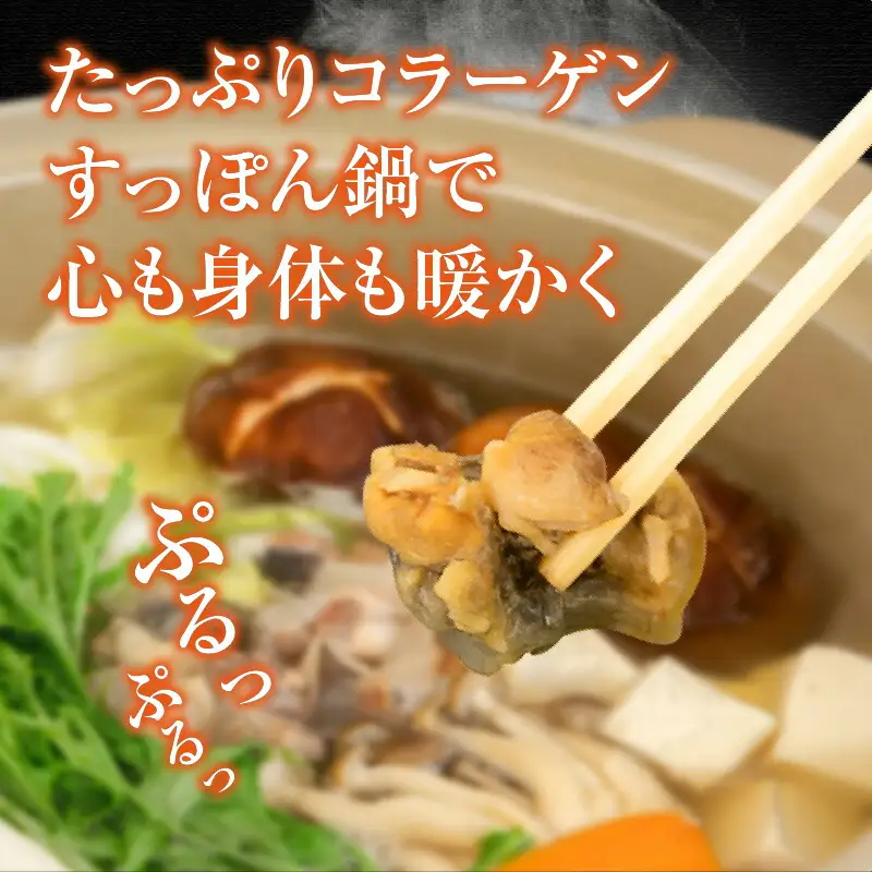 すっぽん 鍋セット すっぽんスープ すっぽん切り身入り 調理済 冷凍 70-01