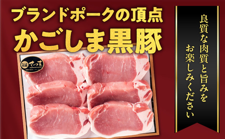 鹿児島県産黒豚 ロースカツ用 K326-010 肉 豚肉 冷凍