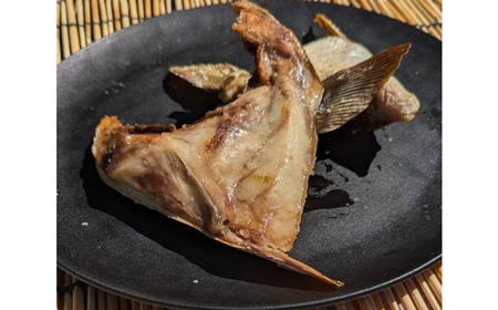 ぶり 刺身・カマ セット 鯛 鯛
