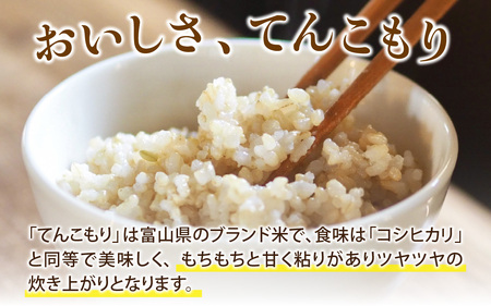 25年10月中旬以降順次発送 富山県滑川産「てんこもり」与文のお米（玄米10kg）産地直送 袋 玄米10kg おにぎり お米 白米 国産 ご飯 ごはん 富山県 滑川市 アグリめぐみ B-050001