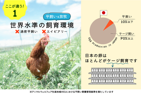 【月2回・12ヵ月定期便】平飼い有精卵 25個 計600個【冷蔵便】たまご 玉子 生 冷蔵 [AXAN028]