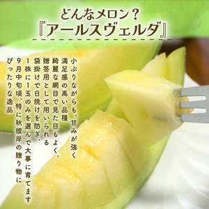 【2026年9月中旬発送開始】 マスクメロン 2玉 メロン フルーツ ギフト 果物 夏 季節限定 甘い おいしい 贈り物 お取り寄せ 産地直送 新鮮 熟成 国産 スイーツ デザート ジューシー 贈答用 プレゼント 人気 お中元 数量限定 先行予約 新発田ファーム 新潟県 新発田市 shibatafarm003