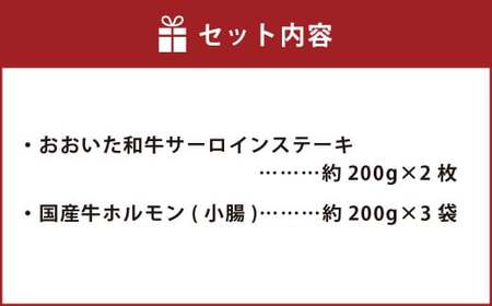 おおいた和牛 サーロインステーキ & ぷりぷり ホルモン （合計約 1kg ） 