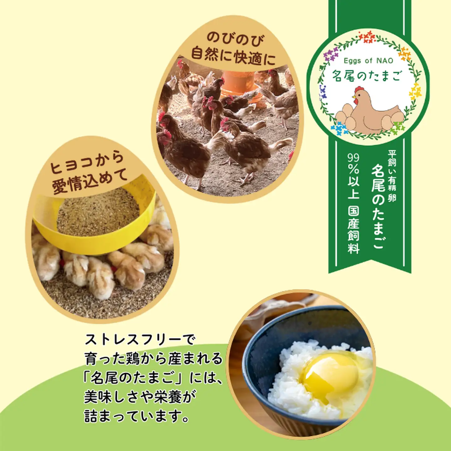 国産飼料の平飼い有精卵 「名尾のたまご」 20個入  たまご 卵 玉子 タマゴ 生卵 新鮮：B110-063