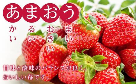 福岡県産　冷凍あまおう1kg（250ｇ×4個）