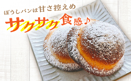 【2回定期便】高知のご当地パン ぼうしパン入り “パン工房だんだん” おすすめパンセット 9種類 17個入り【パン工房だんだん】[ATAQ011]