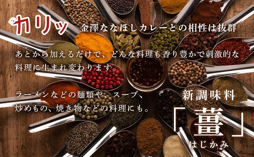 新感覚のスパイス調味料 「薑」はじかみ(3個)とカレー(12袋)のセット