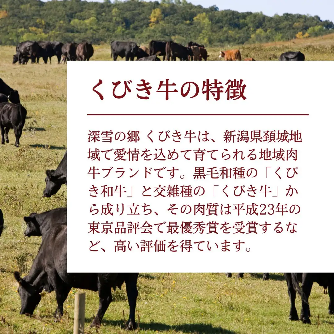 【プロも高評価！】【くびき牛】 牛肉 切り落とし 500g×2パック 計1kg 国産 ブランド牛 新潟県産 上越市 深雪の郷・くびき牛