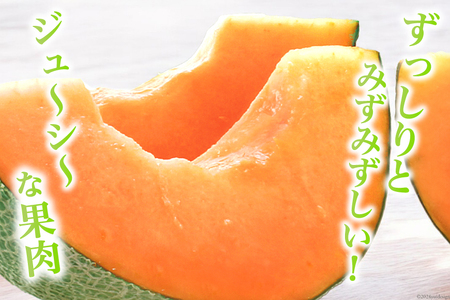 【期間限定】 大玉 赤肉 メロン 能登産 のとつむぎ 約2.3kg以上 [つむぎ会 石川県 中能登町 27ag0021]