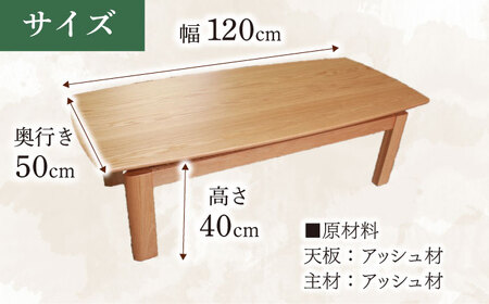 大分県産 リビングテーブル（AT-322#120）幅120cm 奥行き50cm 高さ40cm  日田市 / 株式会社アサヒ[ARDD017]
