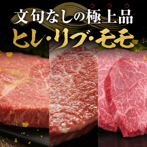 【冷凍】 前沢牛 ステーキ食べ比べ ヒレ 100g リブハーフ 150g モモ 150g [U0207]